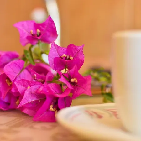 Apartment Limonero New 1 With Private Parking